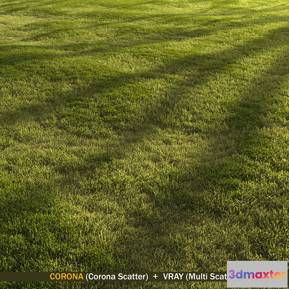 748821 - Forest grass - No.4