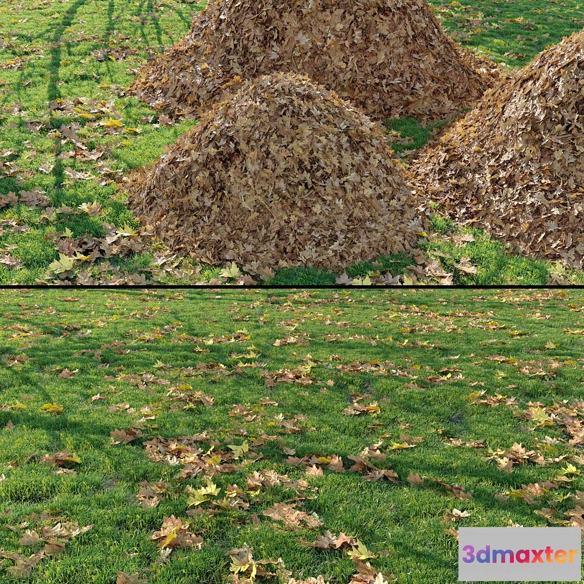 748837 - Meadow_12 - No.2