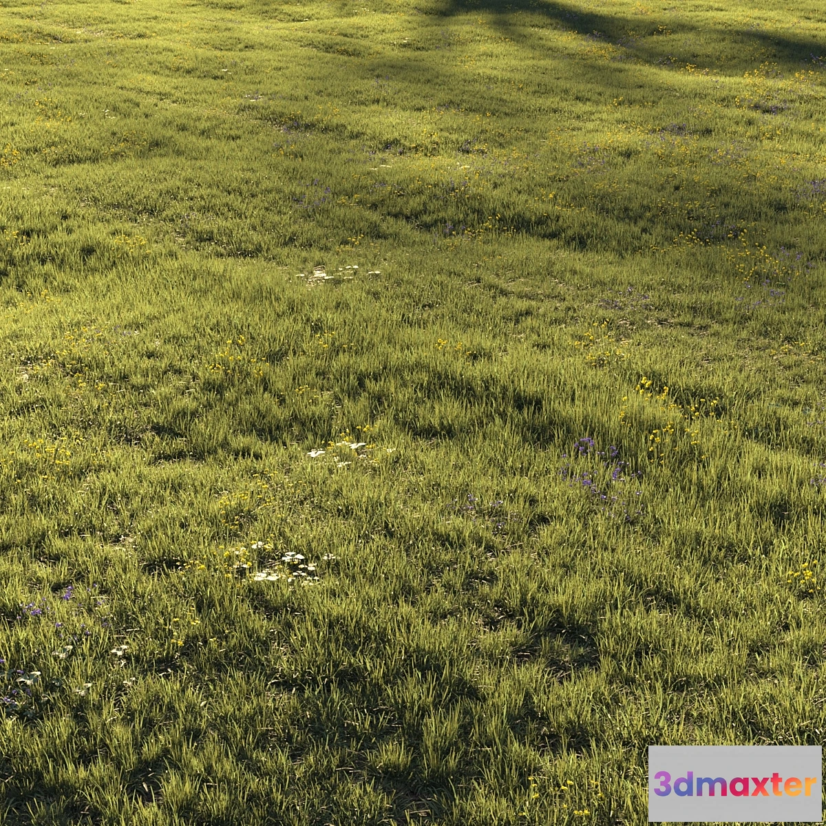 748851 - Grass and Flower