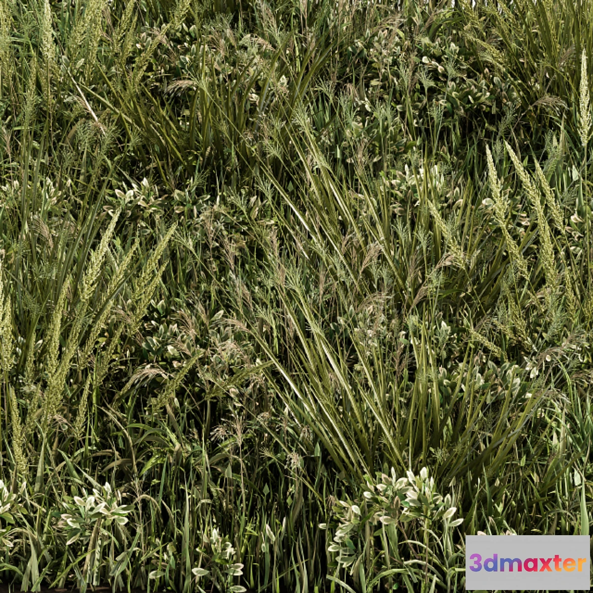 748869 - Wild Grass Green - Grass Set 03