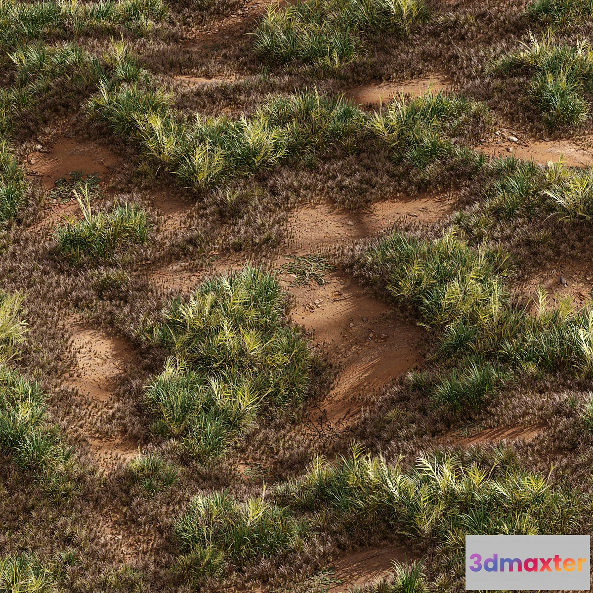 748873 - Meadow Lawn Grassland Set 003 - No.2