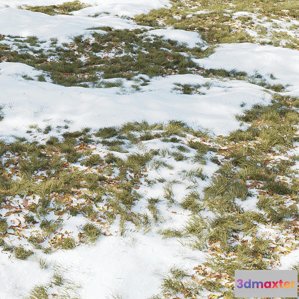 769683 - Winter Grass 01