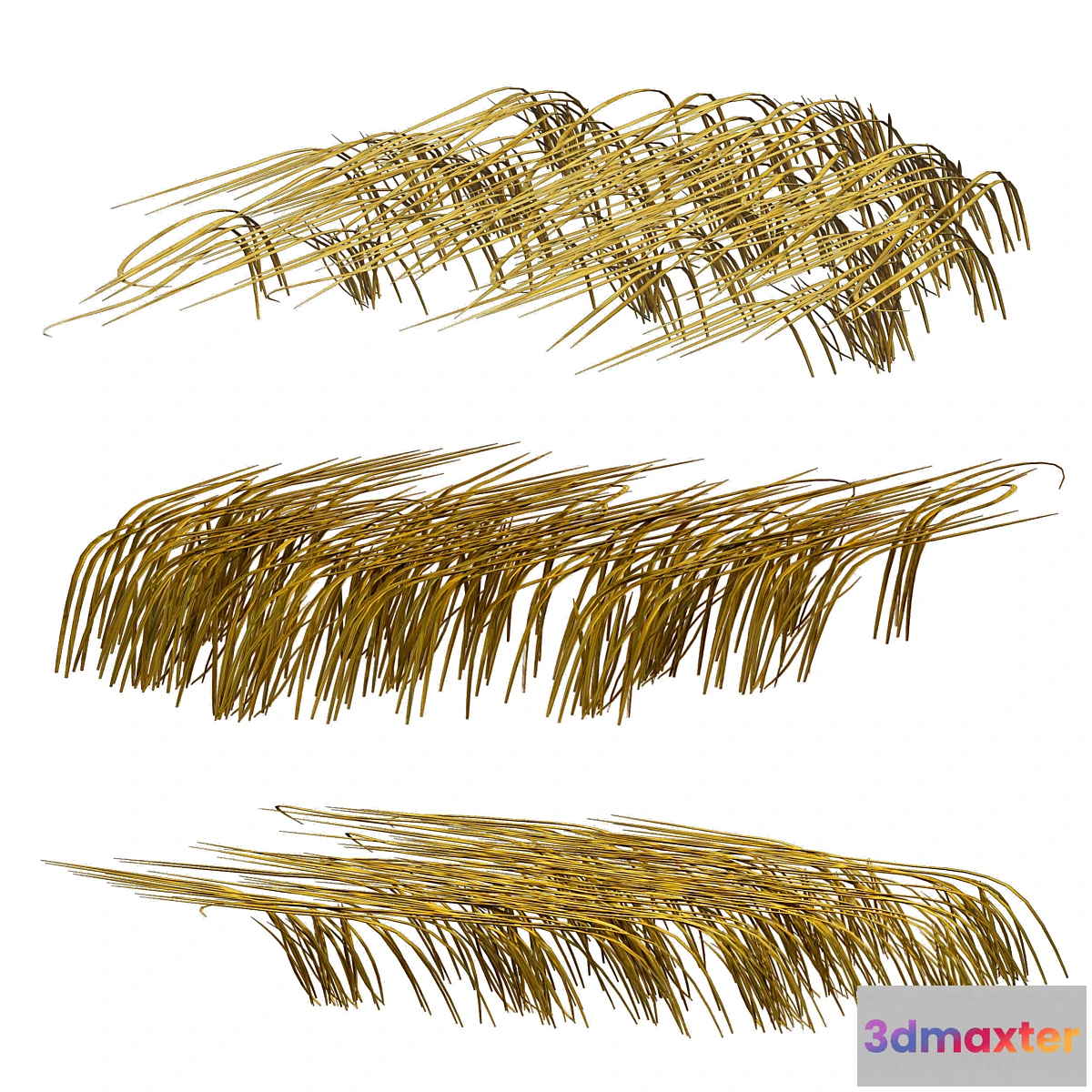 777841 - Grass in the water. Water chirp. Water grass.