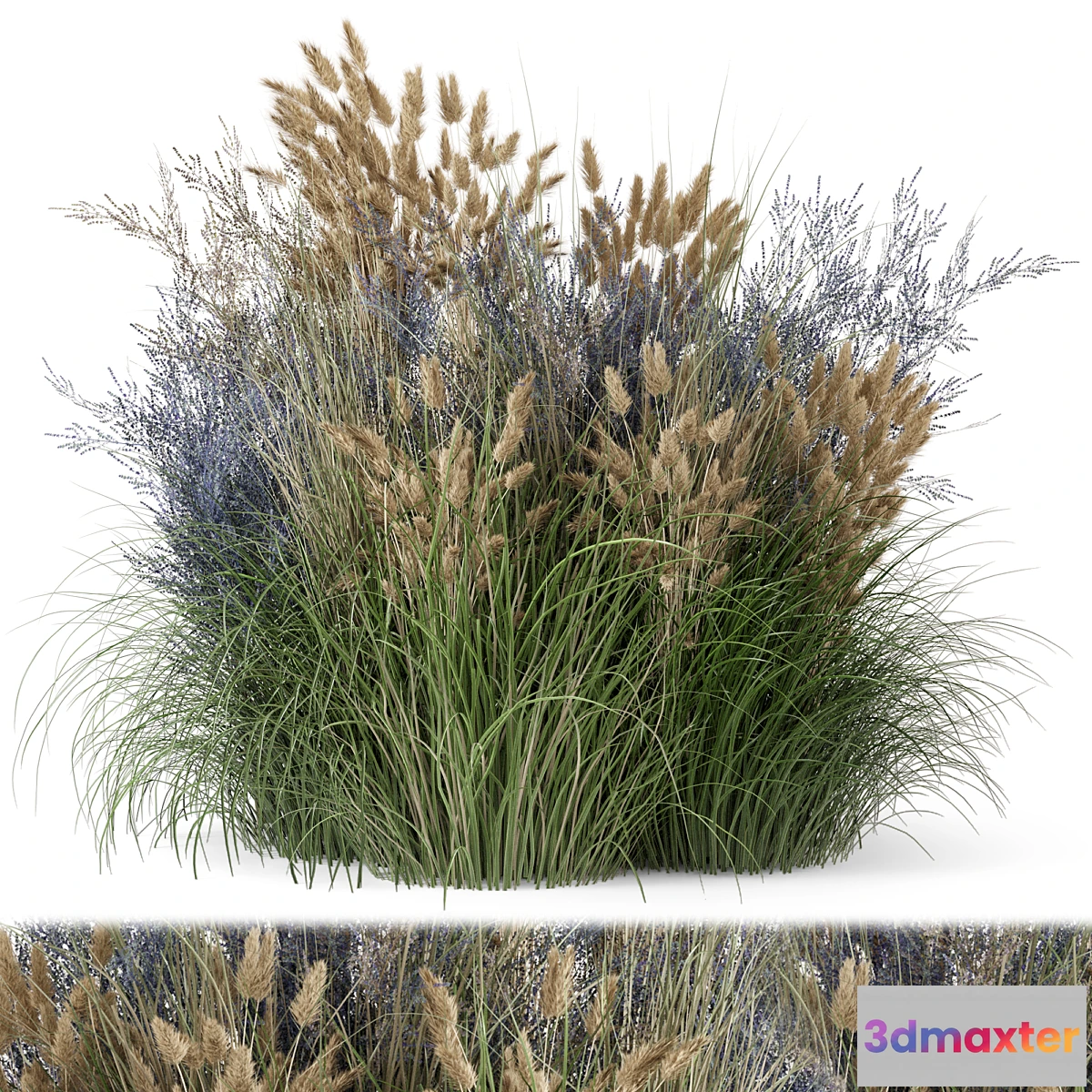 777845 - Outdoor Plants Bush-Bush Set 1225 - No.2