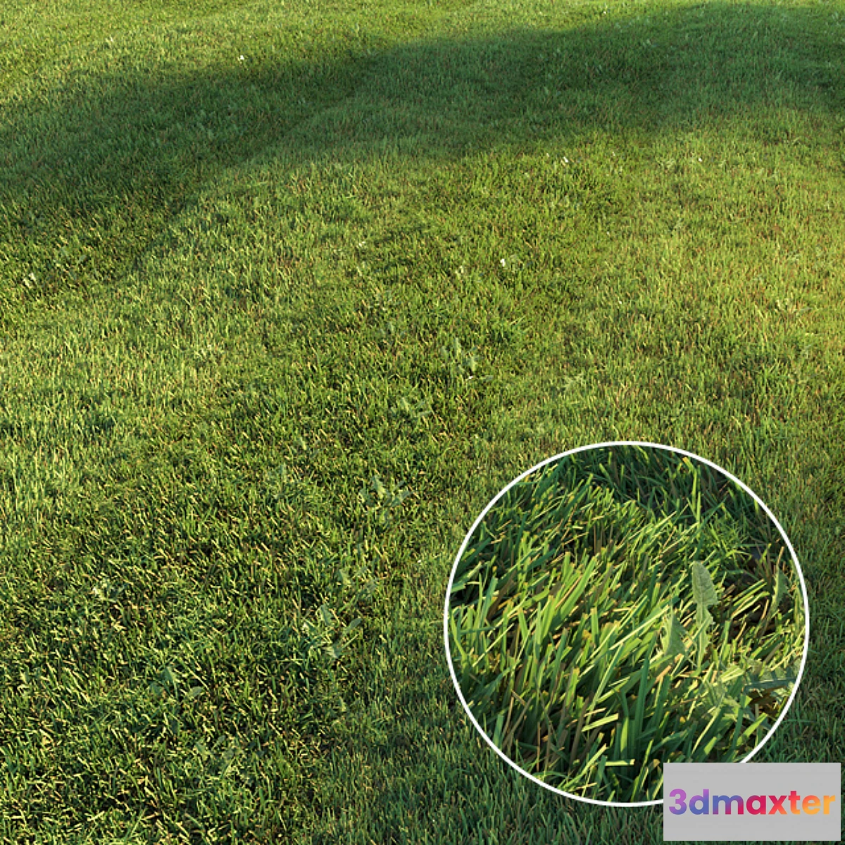 846239 - Mowed lawn - No.5