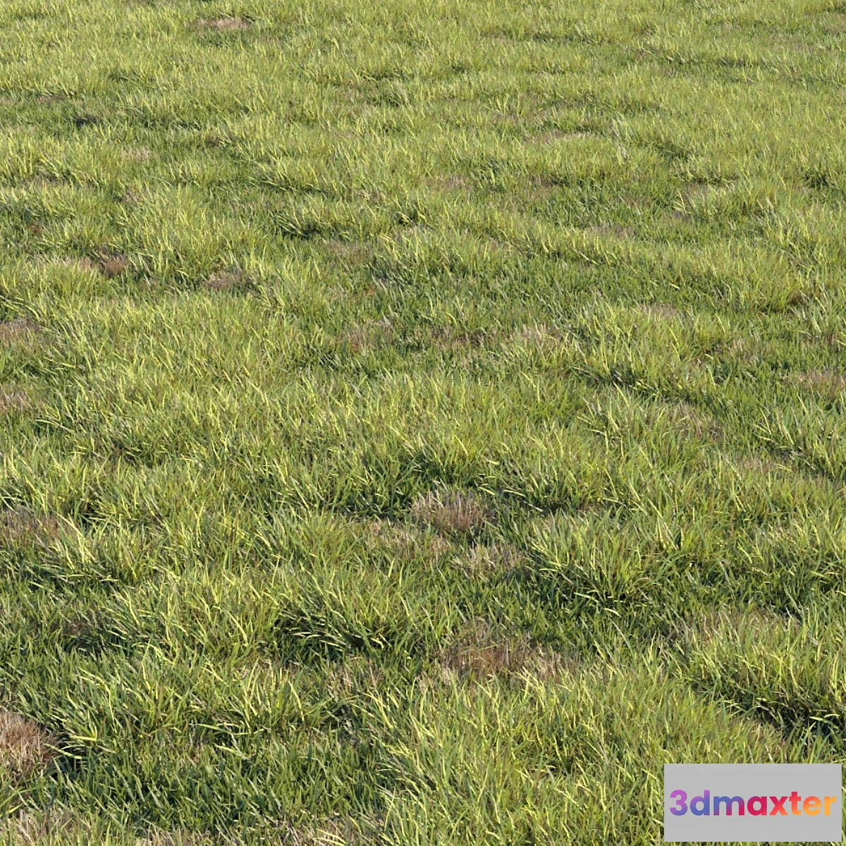 846243 - Grass kit 2 - No.4