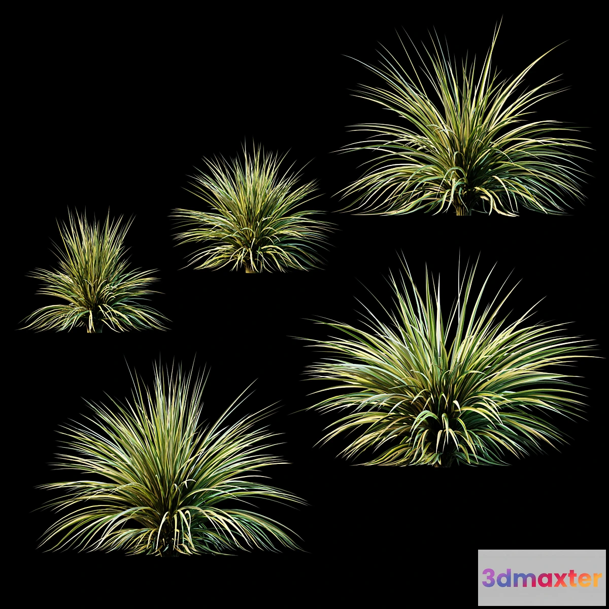 846251 - Plants for Exterior v2 - No.4