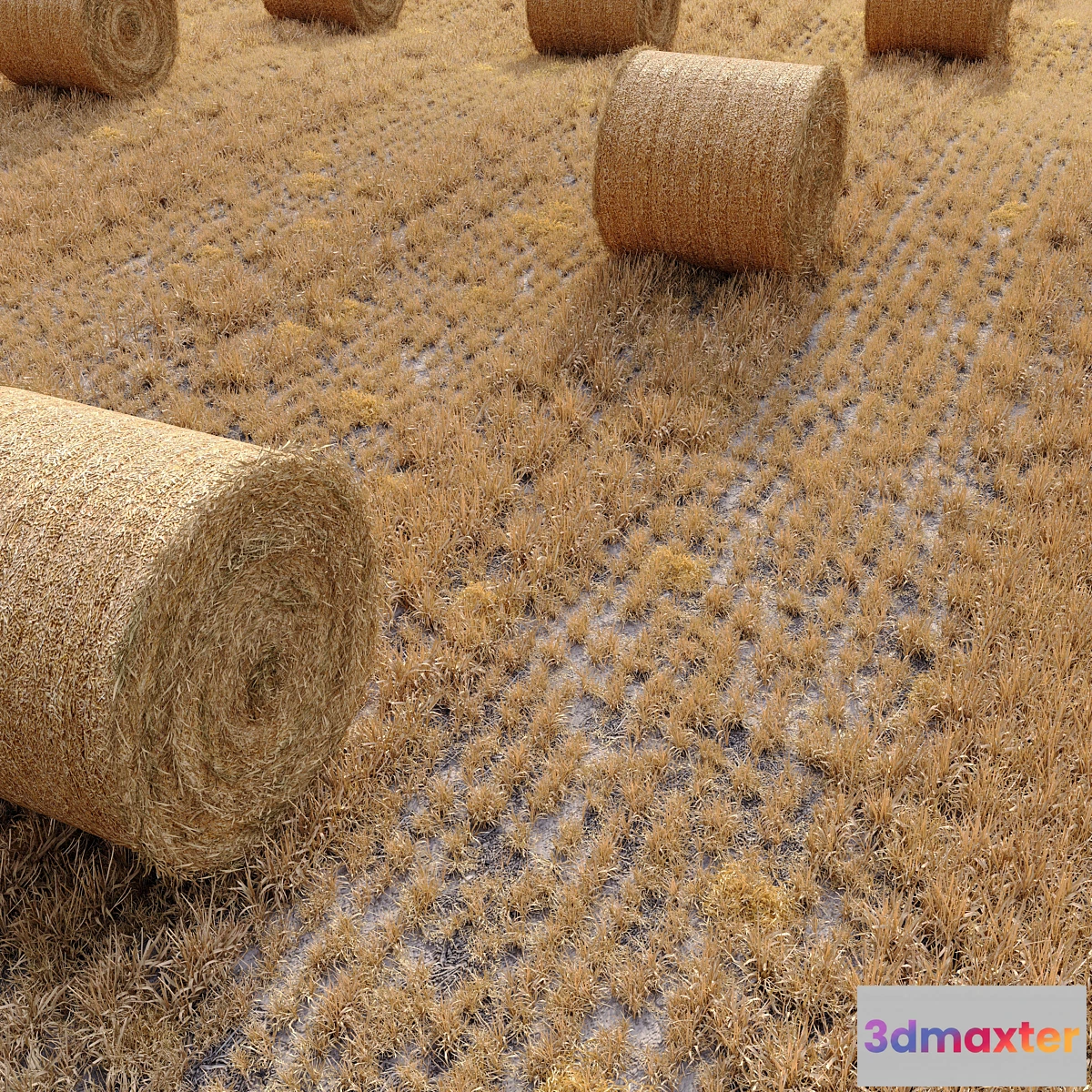 858817 - Farm field with hay bale - No.4