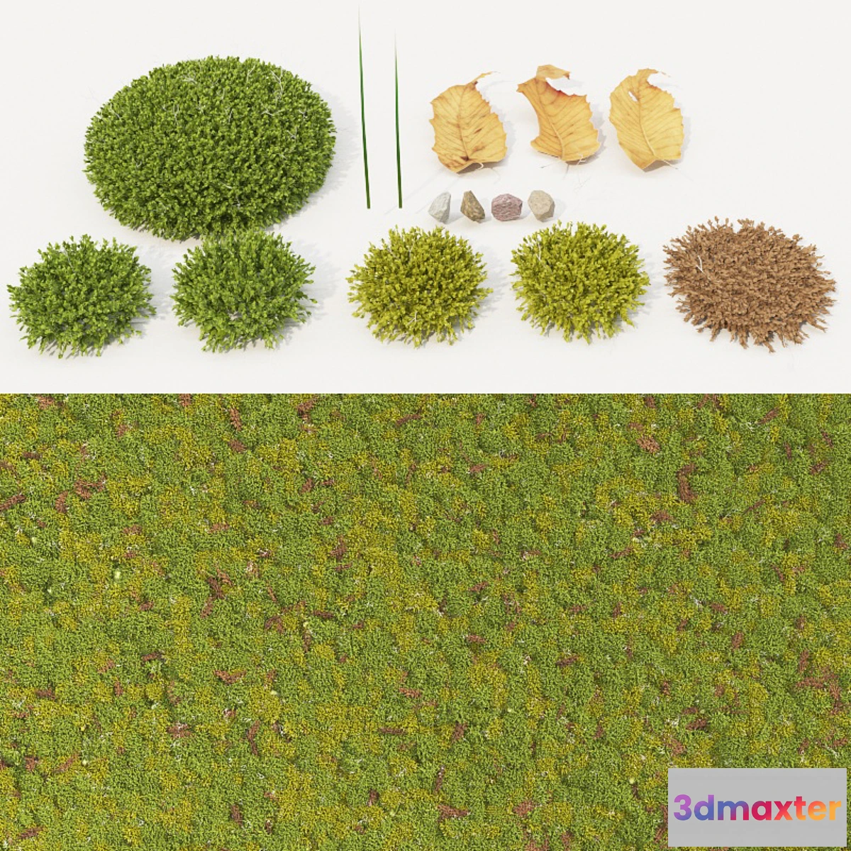 898960 - moss_collection - No.2