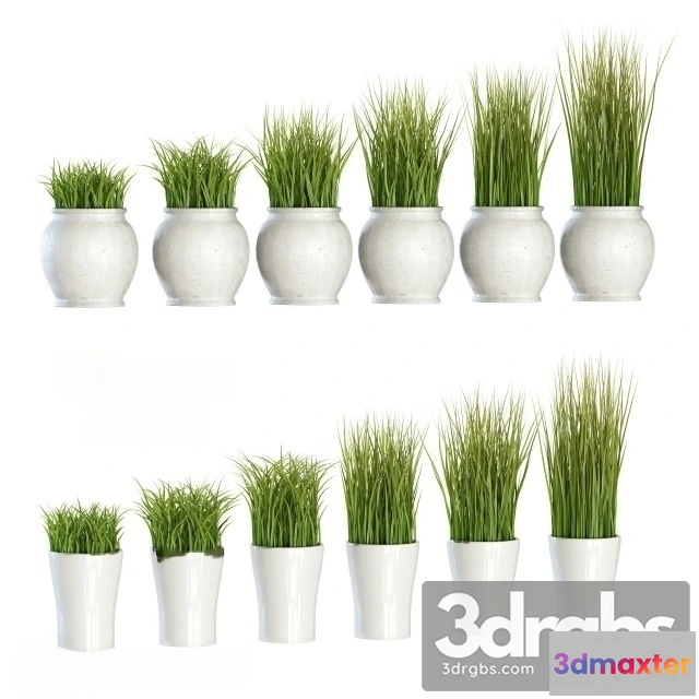 1010672 - Artificial Plants