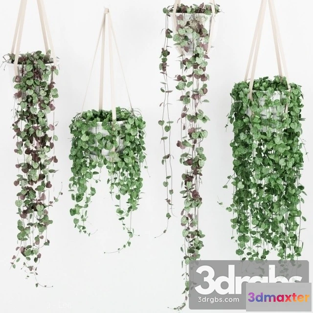 1010676 - Artificial Vines Garland