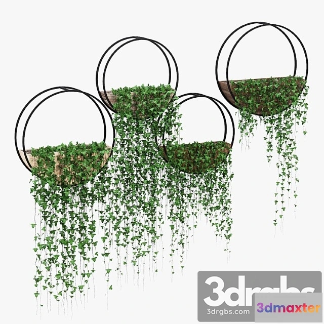 1010678 - Arush Round