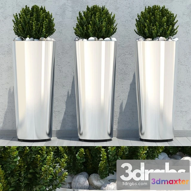 1010684 - Ball Plant 03