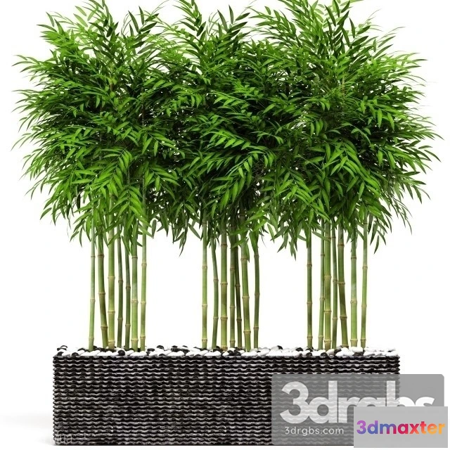 1010692 - Bamboo Rectang Pot