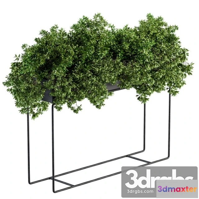1010736 - Black Box Plants on Stand Set 80