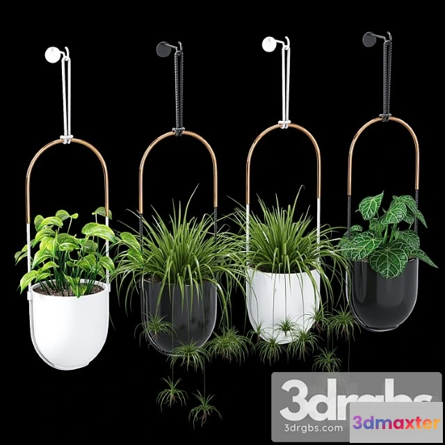 1010738 - Bolo Planter