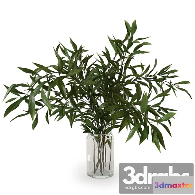 1010758 - Branches In Vase 007