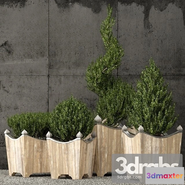 1010764 - Brugge Salvaged Wood Metal Planters
