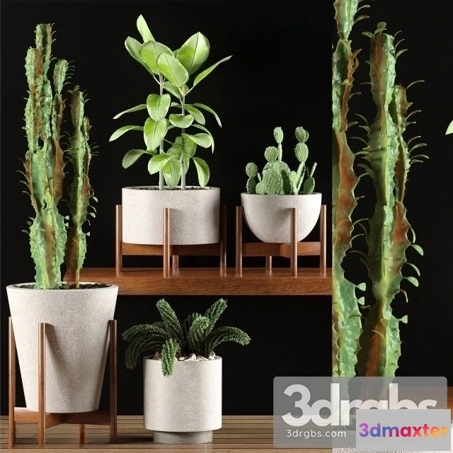 1010774 - Cactus Pots Set 2