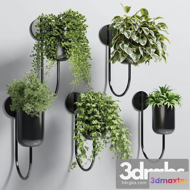 1010822 - Collection Indoor Plant 135 Vase Metal Stand Wall Plant