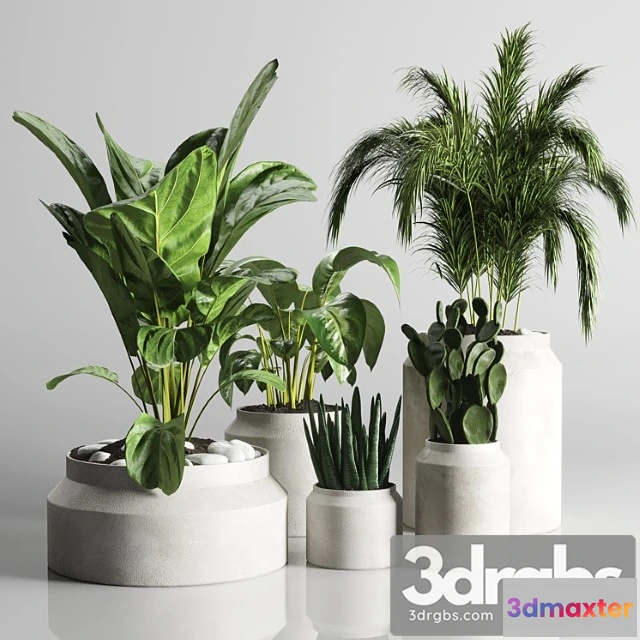 1010828 - Collection Indoor Plant 33 Concrate Vase