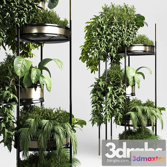 1010832 - Collection Indoor Plant Plant Stairs Stand Metal Vase