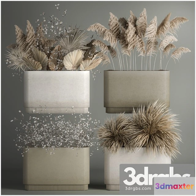 1010872 - Collection of Plants From Dried Flowers