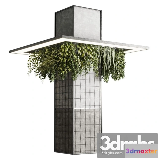 1010898 - Column Plant Pillar Plant 05