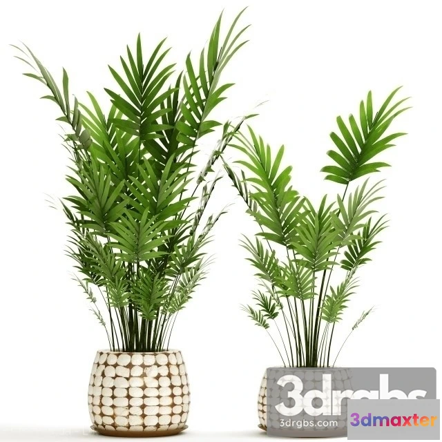 1010916 - Decor Palms Set