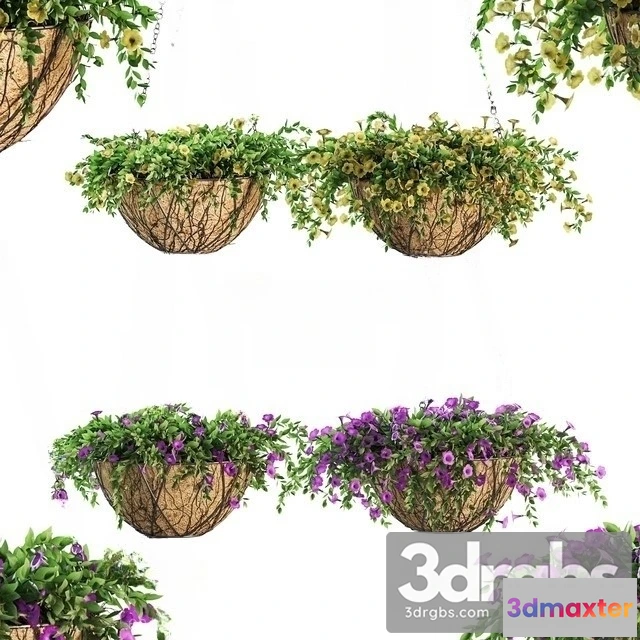 1011004 - Flower Hanging Basket