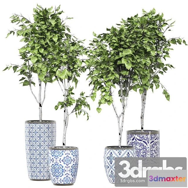 1011006 - Flower Pack 147