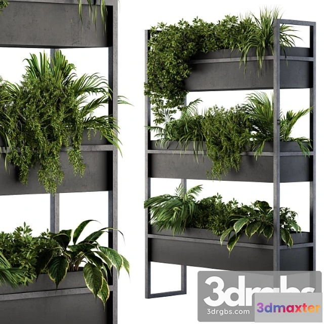 1061182 - Black box plants on stand 05