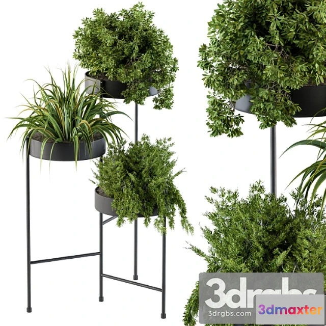 1061192 - Black round plant box