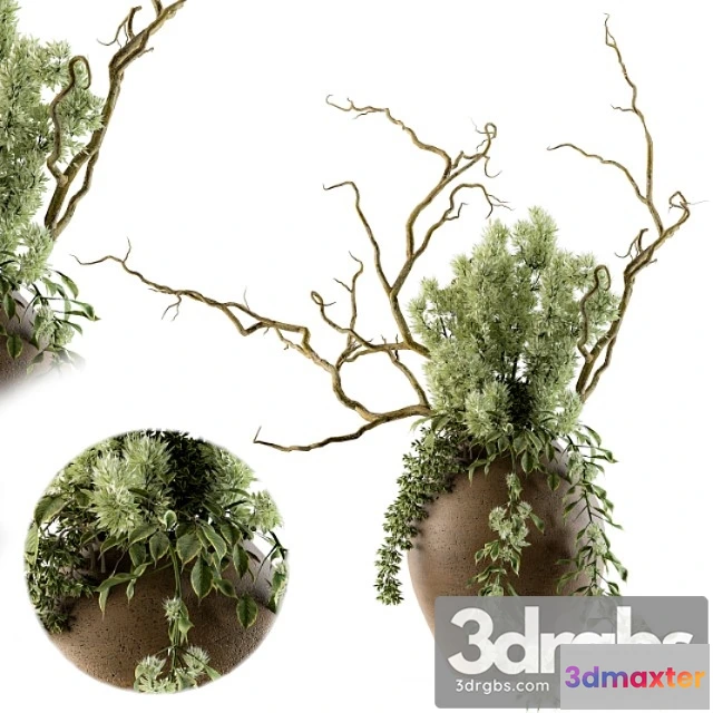 1061226 - Bouquet set 18 - No.2