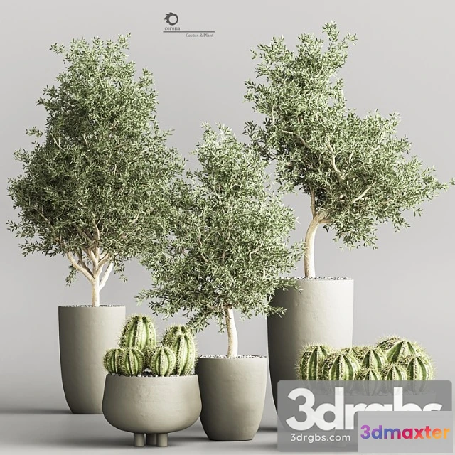 1061240 - Cactus & plant vol 03