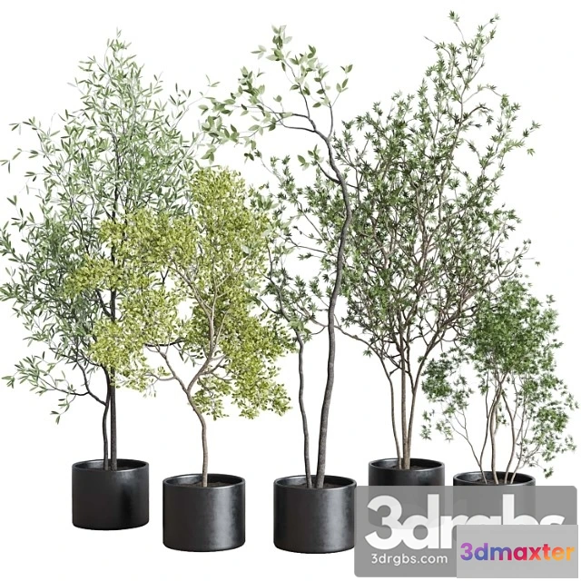 1061278 - Collection indoor plant 326 concrete vase