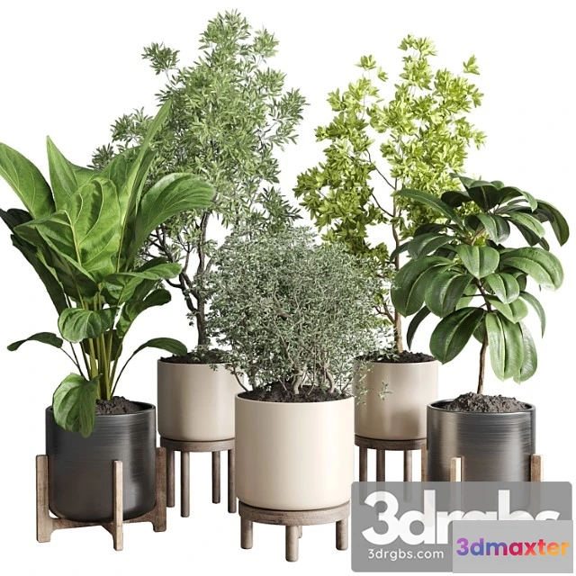 1061282 - Collection indoor plant 48 vase wood