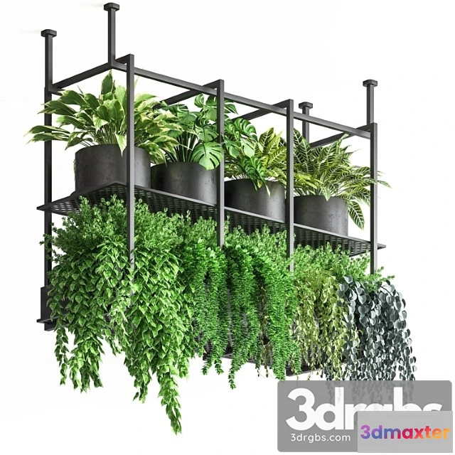 1061304 - Collection indoor plants hanging pot metal 01