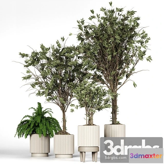 1061582 - Collection Plant 05 - No.2