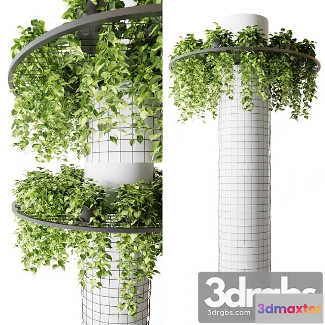 1061594 - Column with hanging plants (epipremnum)
