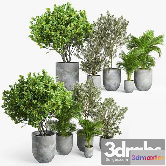 1061596 - Concrete set