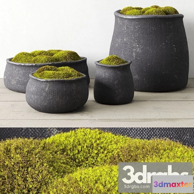 1061604 - Crosshatch concrete vessel collection with moss