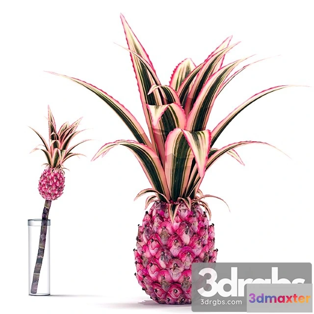 1061618 - Decorative pink pineapple