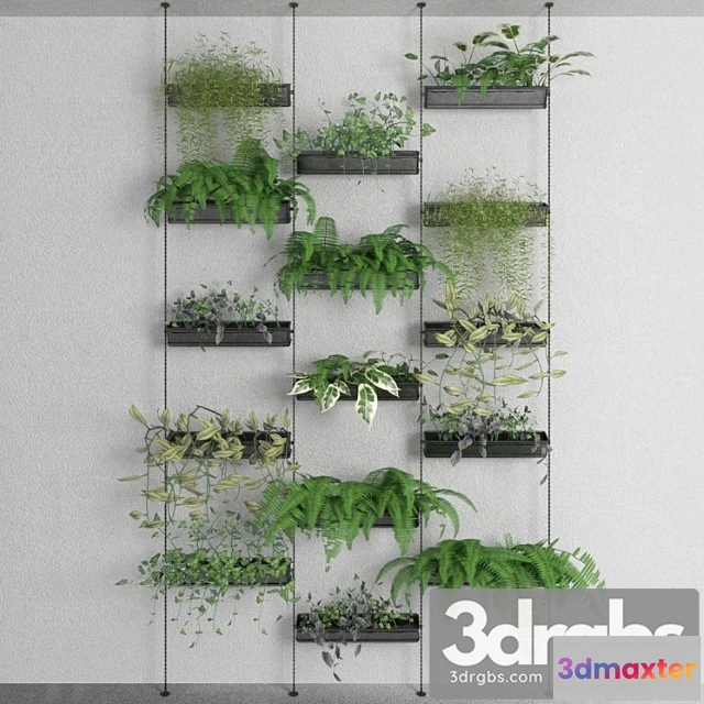 1061620 - Decorative plants - No.2