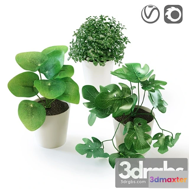 1061664 - Fejka fake