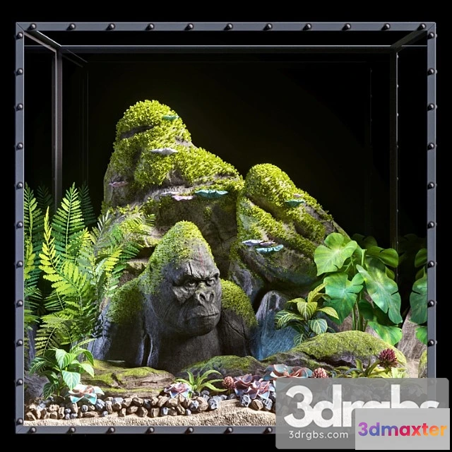 1061706 - Florarium_2