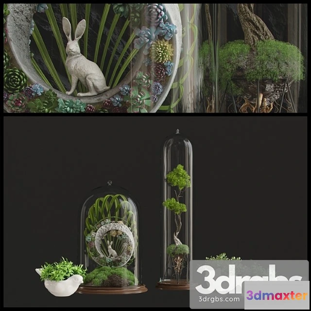 1061708 - Florarium_3