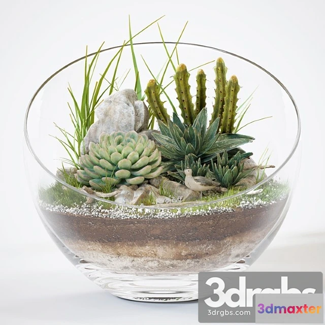 1061710 - Florarium_4