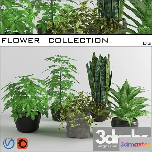 1061712 - Flower collection 03