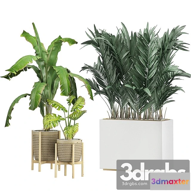 1061716 - Flower pack 107